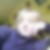 Photo de profil de Nancy Boutoille
