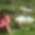 Photo de profil de Laurence Thomeret