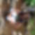 Photo de profil de Houmadi Soilihati