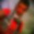 Photo de profil de Florent Jourdain