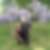 Photo de profil de Maryvonne Le Boudec