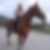 Photo de profil de Eve Houdeau