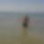 Photo de profil de Vincent Comte