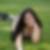 Photo de profil de Céline Wen