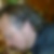 Photo de profil de David Plasschaert