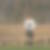 Photo de profil de Anthony Saillant