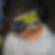 Photo de profil de Najiaa Zourrane