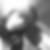Photo de profil de Margot Eyraud