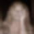 Photo de profil de Sandrine Couteille