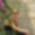 Photo de profil de Nicole Negrel