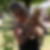 Photo de profil de Beatrice Quere