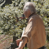 Photo de profil de Jean Marcadé