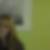 Photo de profil de Nesrin Ural