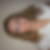 Photo de profil de Laura Sokowski