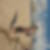 Photo de profil de Thierry Olivier