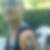 Photo de profil de Catherine Stucker