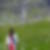 Photo de profil de Terry Barul