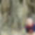 Photo de profil de Fabrice Bege