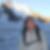 Photo de profil de Terry Piccin