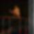 Photo de profil de Yoann Toury