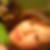 Photo de profil de Khensa Laggoune