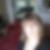 Photo de profil de Christine Loeuillet