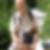 Photo de profil de Claude Dieu-Romastin