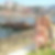 Photo de profil de Sandrine Calvet