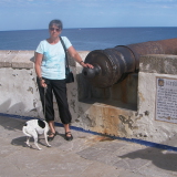 Photo de profil de Anne Marie Campergue