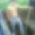 Photo de profil de Rudy Swyngedauw