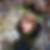 Photo de profil de Charlotte Jouie
