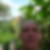 Photo de profil de Richard Hervéou