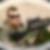 Photo de profil de Philippe Brugheat