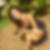 Photo de profil de Anne Le Bail