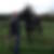 Photo de profil de Antoine Nicolle