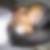Photo de profil de Mouniya Mboiboi