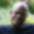 Photo de profil de Raymond Dambo