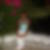 Photo de profil de Sandrine Louisy-Louis