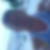 Photo de profil de Martial Bailly