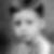 Photo de profil de André Le Porcher