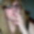 Photo de profil de Pauline Piccand