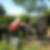Photo de profil de Josette Queutier