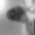 Photo de profil de Patrick Allegre