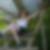 Photo de profil de Emiline Tugend