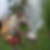 Photo de profil de Bertin Belrain