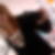 Photo de profil de Ludivine Bricout