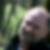 Photo de profil de Olivier Notebaert