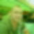 Photo de profil de Thierry Lenglin