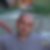 Photo de profil de Dominique Bertoia