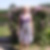Photo de profil de Liliane Saint-Dizier